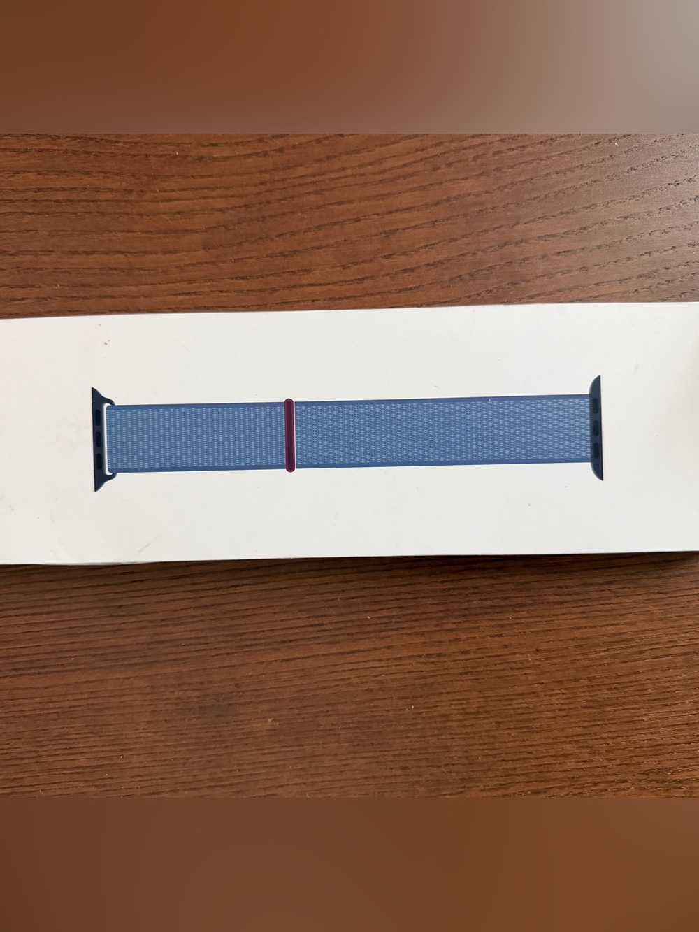 Winter Blue Milanese Sport Loop Apple Watch Band 45mm